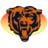 Bears Icon